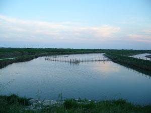 Il grande Fiume Po al tramonto